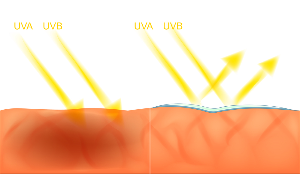 wear sunscreen every day